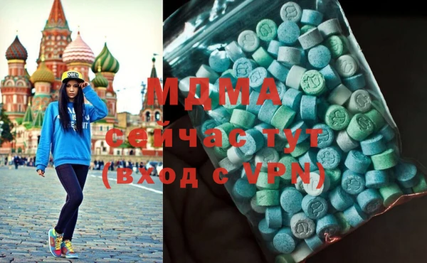 молекула духа Богданович