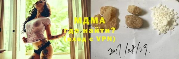 молекула духа Богданович