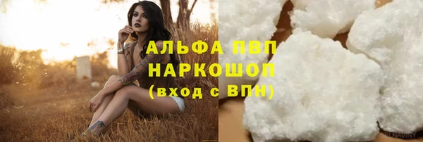 дживик Бородино
