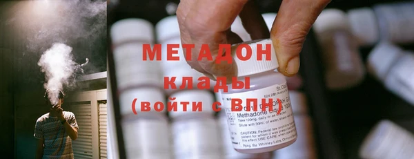 прущие грибы Инсар