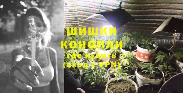 молекула духа Богданович