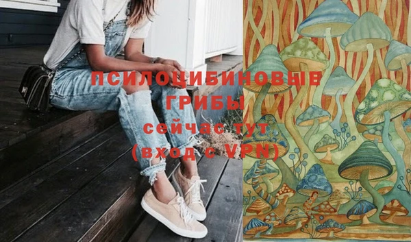 соль курить ск Армянск