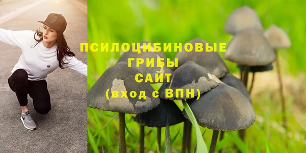 амф Бронницы